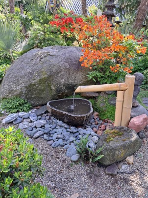 Een Oase van Rust in Eigen Tuin