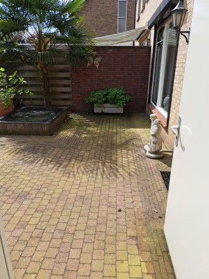 Tropisch Tuinhoekje voor Ontspanning en Genot