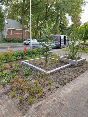 Geniet van een Onderhoudsarme Tuin vol Leven en Kleur