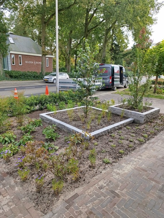 Geniet van een Onderhoudsarme Tuin vol Leven en Kleur