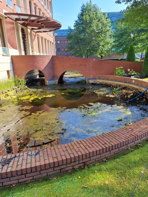 Duurzame vernieuwing vijver 