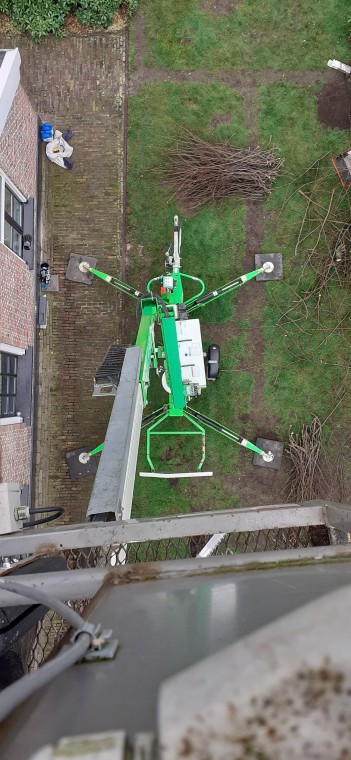Bomenverzorging in Actie