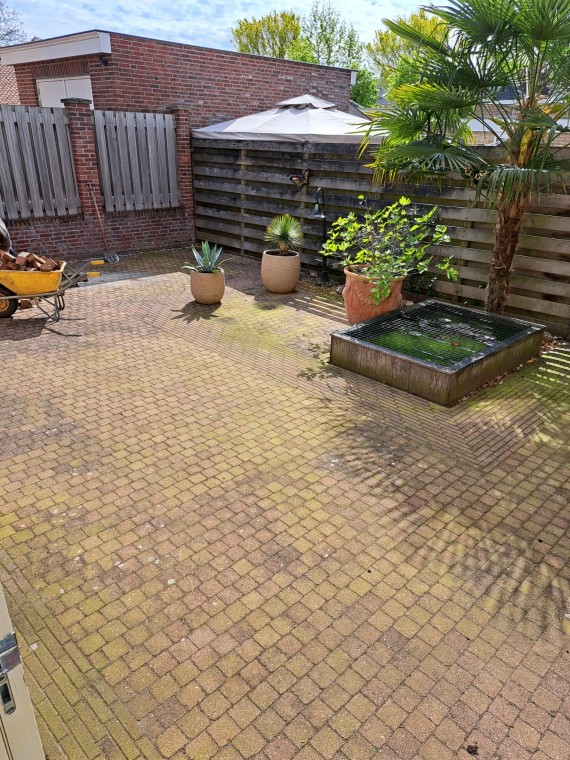 Tropisch Tuinhoekje voor Ontspanning en Genot