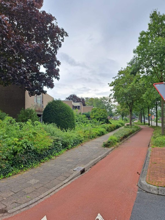  Groene Verbinding Tuinaanleg voor Woningbouwbedrijf