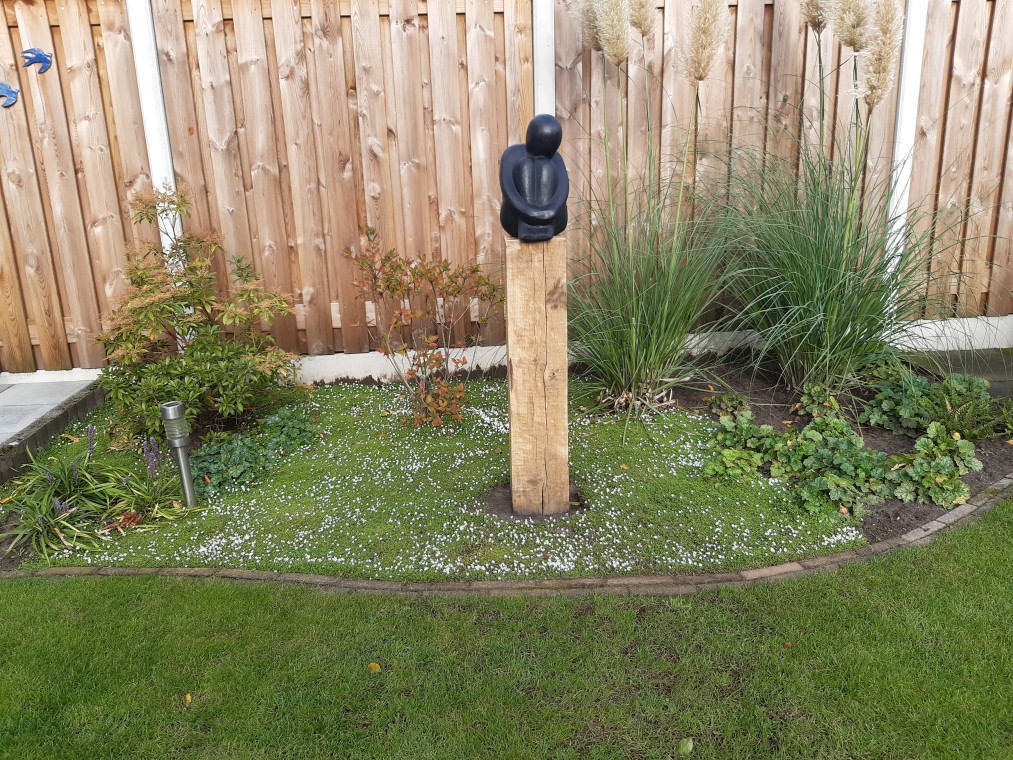 Creatieve Schuttingen en Afscheidingen voor Elke Tuin