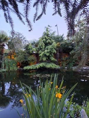 Een Oase van Rust in Eigen Tuin