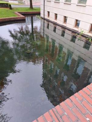 Duurzame vernieuwing vijver 