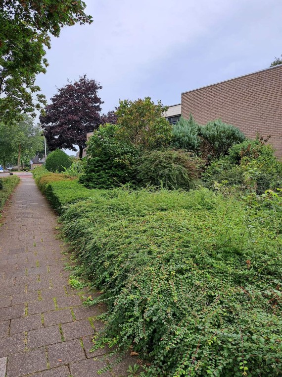  Groene Verbinding Tuinaanleg voor Woningbouwbedrijf