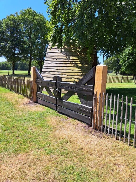 Creatieve Schuttingen en Afscheidingen voor Elke Tuin