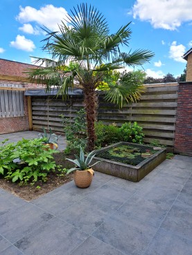 Tropisch Tuinhoekje voor Ontspanning en Genot