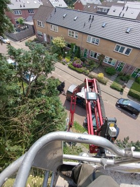 Bomenverzorging in Actie