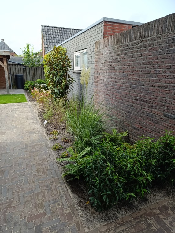 Geniet van een Onderhoudsarme Tuin vol Leven en Kleur