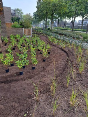  Groene Verbinding Tuinaanleg voor Woningbouwbedrijf