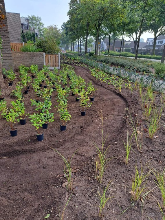  Groene Verbinding Tuinaanleg voor Woningbouwbedrijf