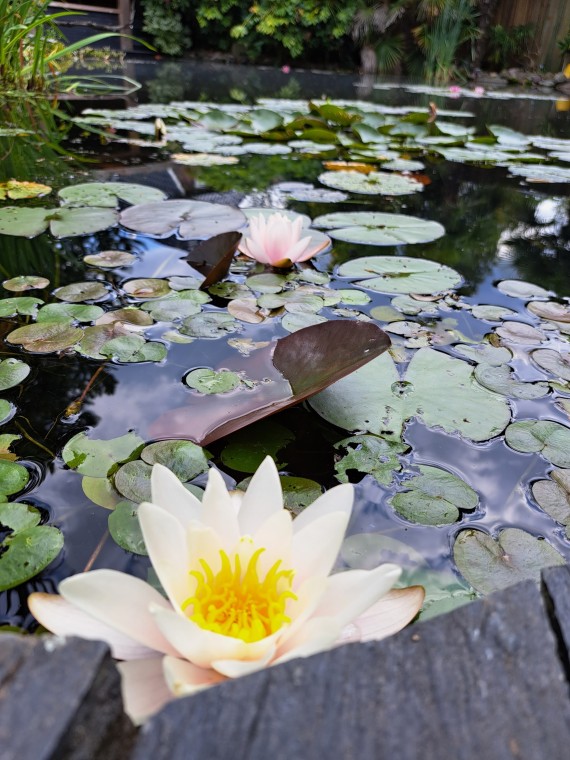 Een Oase van Rust in Eigen Tuin